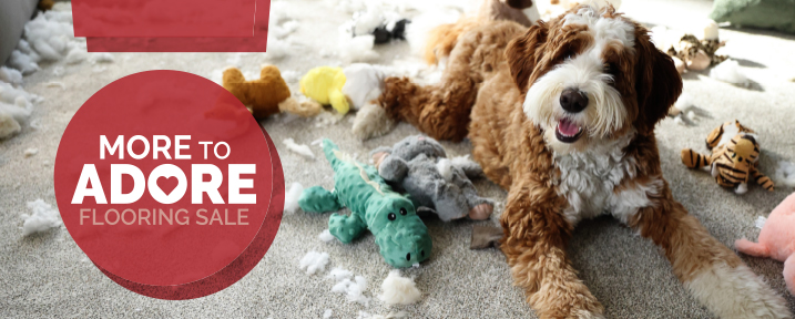 light luxury vinyl bedroom floor